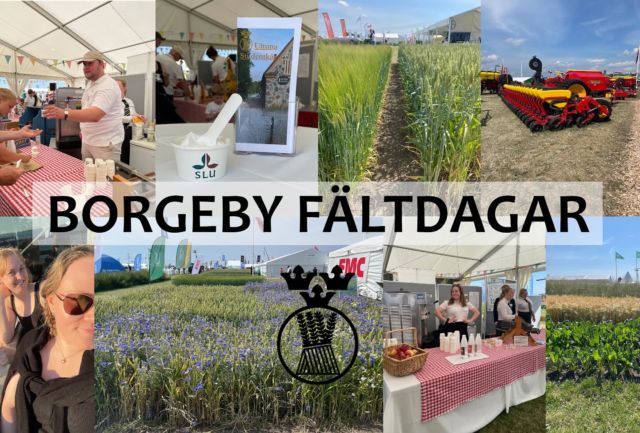 Vill du hänga med till Borgeby Fältdagar i sommar?☀️SLU söker kårer som vill vara med och representera universitetet på en av Sveriges största lantbruksmässor – 25–26 juni utanför Alnarp! 🌱🚜Du får:✔️ Timarvode 💸✔️ Reseersättning + boende 🛏️✔️ Chans att lyfta din utbildning & kår 🙌✔️ Vara med i montern, snacka med besökare & fika ☕🍪✔️ Umgås med Ultunesare i två dagar ✨De söker studenter från alla SLU-kårer – så vi vill ju såklart åka med ett gäng studenter från ULS! Alla är välkomna att anmäla sig och lite extra plus om du pluggar något kopplat till lantbruk eller växtodling! 🌾📅 Sista anmälningsdag: 19 aprilAnmälan skickas till vice ordförande: uls_utb@stud.slu.se👉 Är du nyfiken? Kontakta Vice ordförande för mer info!